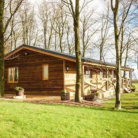 Valley View Lodge Trelystan Esterno foto