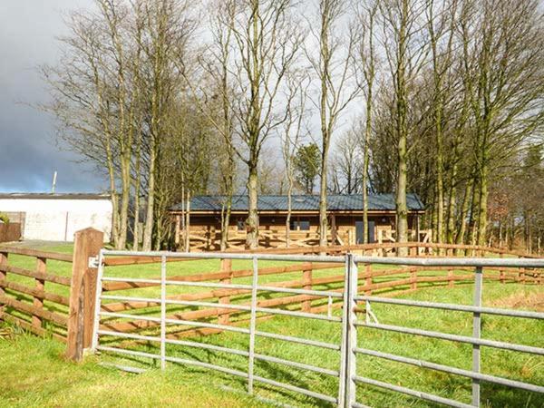 Valley View Lodge Trelystan Esterno foto