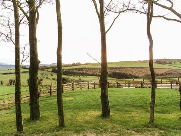 Valley View Lodge Trelystan Esterno foto